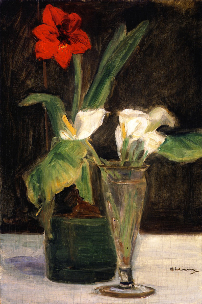 amaryllis and calla lilies